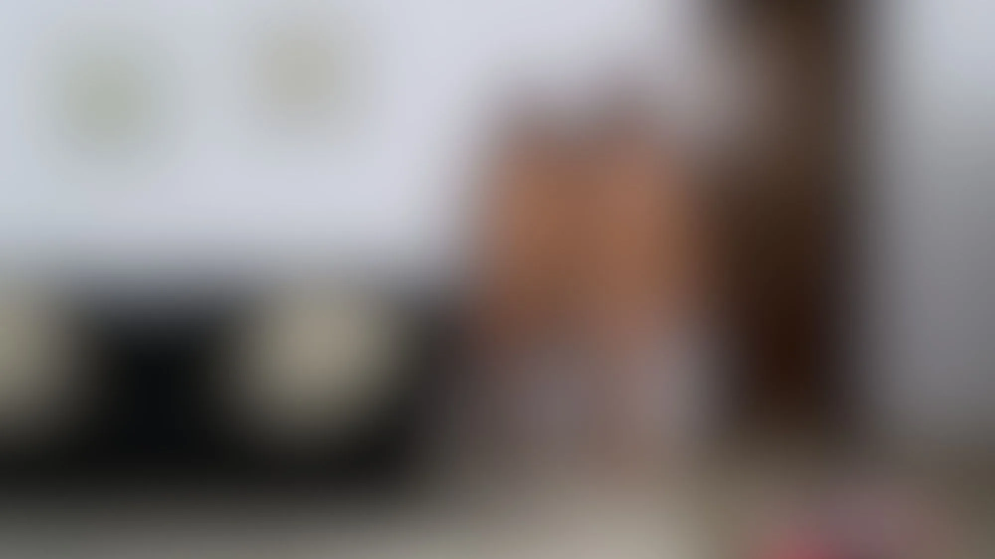 Monica Moon and Ravyn Moore Blurred Image 8