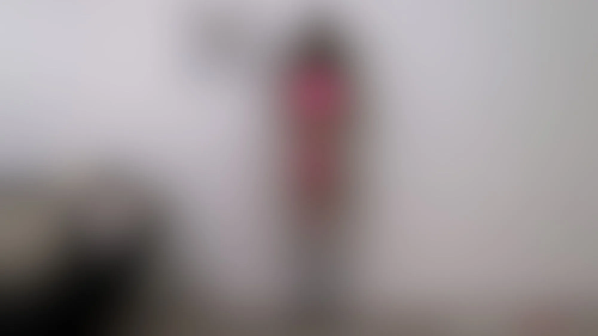 Reagan Blurred Image 6