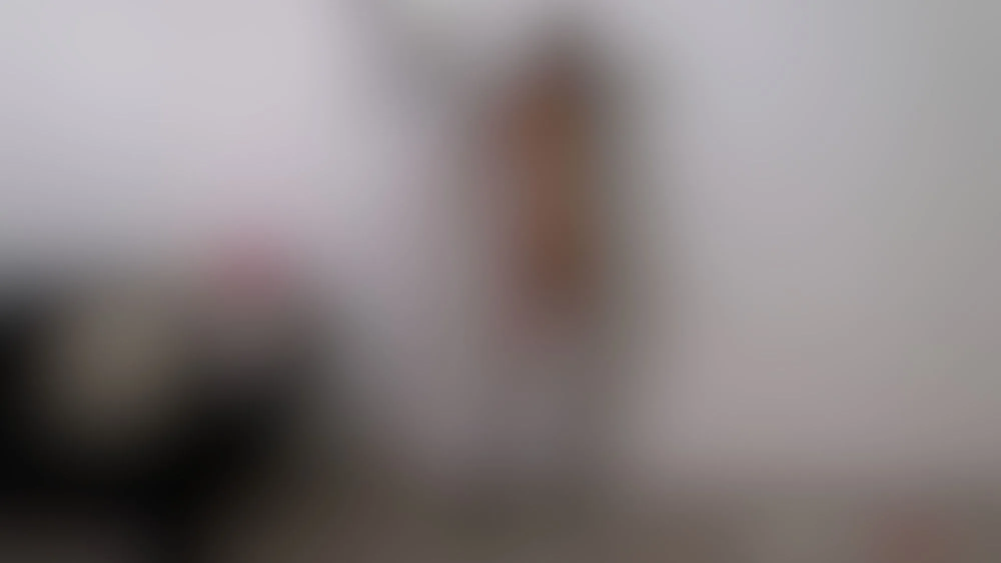 Reagan Blurred Image 7