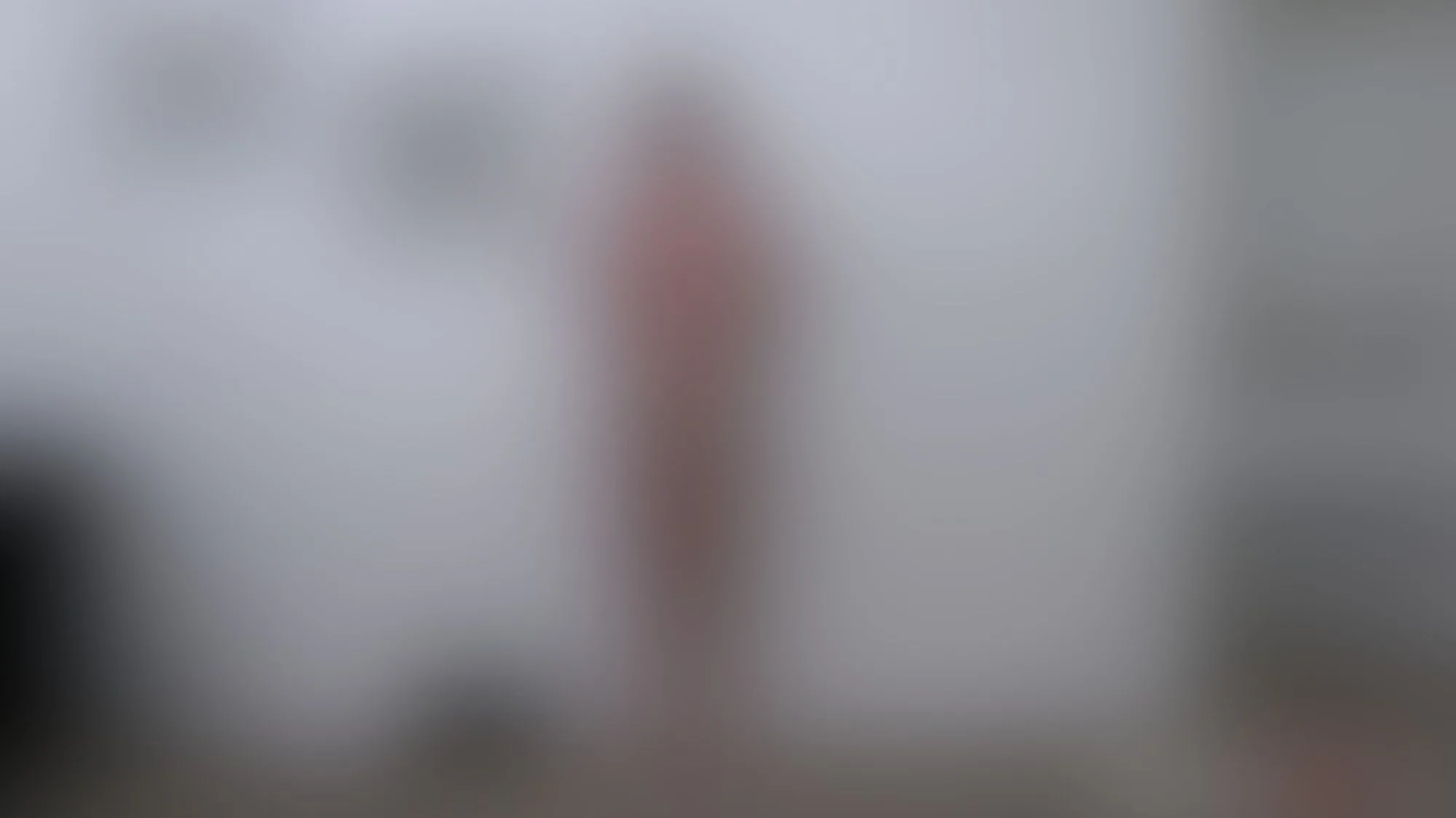 Blurred Performance Image 8